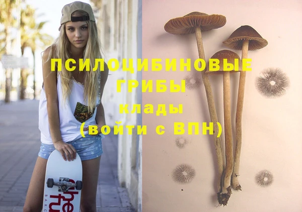 молекула духа Алексин