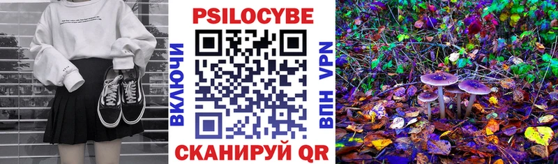 блэк спрут как зайти  где продают наркотики  Заполярный  Галлюциногенные грибы Psilocybe 